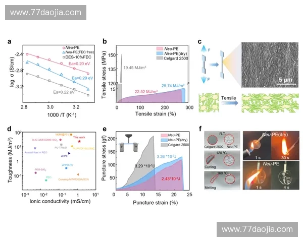 全面提升身体柔韧性的系统化科学训练策略与多维实践路径深度探析