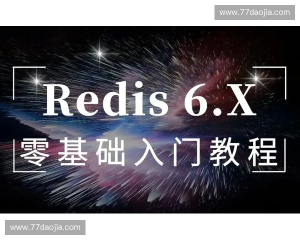 入门动作全解析与实用训练方法指南